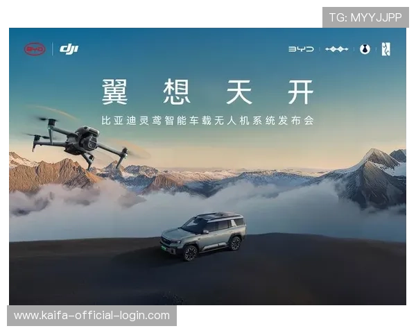 凯发天生赢家一触即发手机登录界面设计与用户体验优化