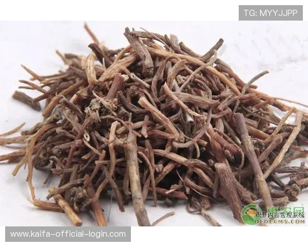 获取凯发首页地址的最新途径与官方推荐，确保每位玩家都能顺利进入游戏世界