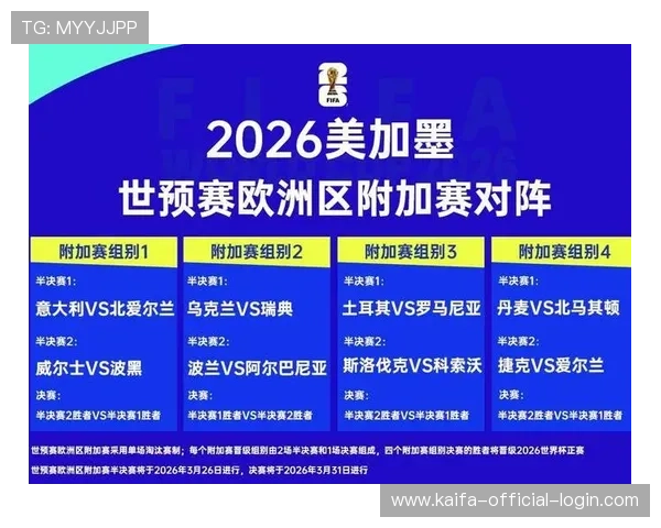 2026年世界杯举办国家的足球基础设施建设现状与赛事准备工作总结